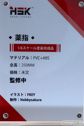 フィギュア ワンダーフェスティバル2023 [冬]  MAGIC ASTEROID 核誠治造 Hobby sakura SHOWMON Otherwhere Partylook RIBOSE 25