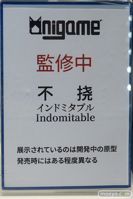 フィギュア ワンダーフェスティバル2023 [冬]  AniGame Lemoe Figure HASUKI OMAHA amiami×anigift THE ELDORA/MODEL Oriental Forest 06