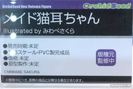 フィギュア ワンダーフェスティバル2023 [冬]  ファレノ オーキッドシード PLUM PMOA アルファマックス 18