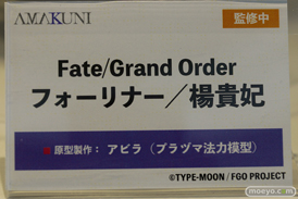 フィギュア ワンダーフェスティバル2023 [冬]  DCTer AMAKUNI KT model+ PRISMA WING あみあみ 16
