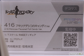 フィギュア ワンダーフェスティバル2023 [冬]  DCTer AMAKUNI KT model+ PRISMA WING あみあみ 36