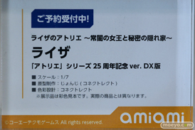 フィギュア ワンダーフェスティバル2023 [冬]  DCTer AMAKUNI KT model+ PRISMA WING あみあみ 45