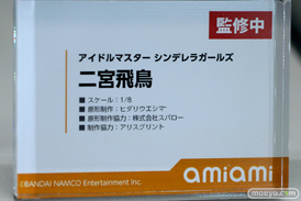 フィギュア ワンダーフェスティバル2023 [冬]  DCTer AMAKUNI KT model+ PRISMA WING あみあみ 53