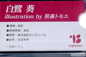 フィギュア ワンダーフェスティバル2023 [冬] えいてぃーん  12