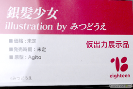 フィギュア ワンダーフェスティバル2023 [冬] えいてぃーん  16