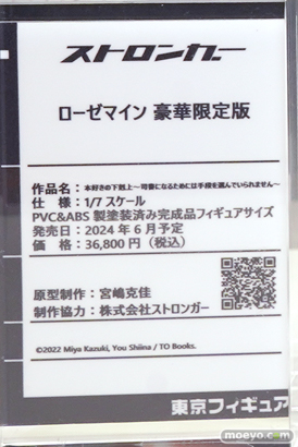 フィギュア ワンダーフェスティバル2023 [冬] Kneed ネオンマックス 回天堂 スタレス プロジェクト　ストロンガー 46
