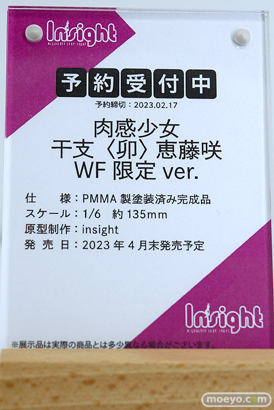 フィギュア ワンダーフェスティバル2023 [冬] インサイト 08