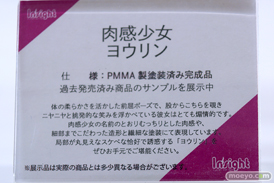 フィギュア ワンダーフェスティバル2023 [冬] インサイト 23