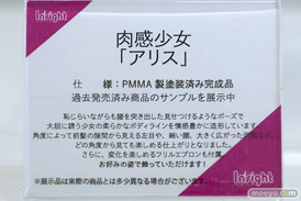 フィギュア ワンダーフェスティバル2023 [冬] インサイト 25