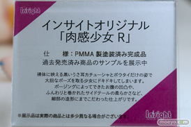 フィギュア ワンダーフェスティバル2023 [冬] インサイト 27