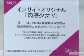 フィギュア ワンダーフェスティバル2023 [冬] インサイト 29
