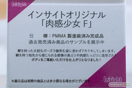 フィギュア ワンダーフェスティバル2023 [冬] インサイト 31