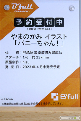 フィギュア ワンダーフェスティバル2023 [冬] びーふる 17