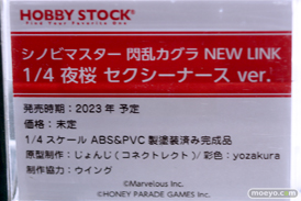 フィギュア ワンダーフェスティバル2023 [冬] ホビーストック 18