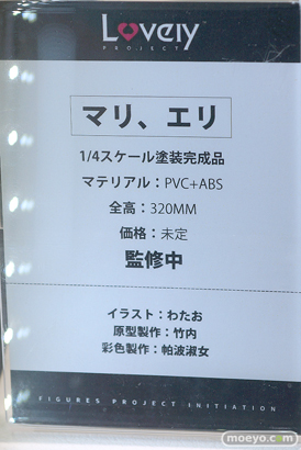 Lovely マリ、エリ わたお 竹内 帕波淑女 エロ フィギュア ワンダーフェスティバル2023 [冬] 12