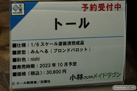 Tokyo Figure Salon 2023 Spring　東京フィギュア 回天堂 フィギュア 11