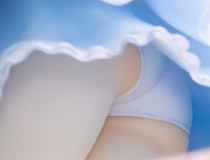 「レム ウエディングVer. 」「井ノ上たきな」「サクラバクシンオー」など 秋葉原の新作フィギュア、グッズ展示の様子「アニプレックスアンテナショップ」「コトブキヤ秋葉原館」「ボークスホビー天国2」編（2023年5月14日）