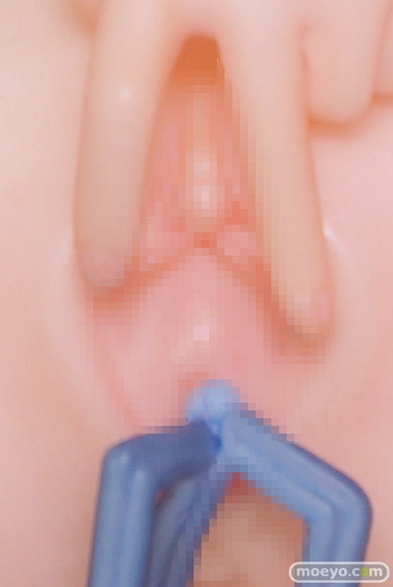 F.W.A.T（フワット） さかなつり 司咲りな へんりぃだ 西瓜ヶ原いち華 エロ キャストオフ フィギュア  ワンダーフェスティバル2023 [冬] 18