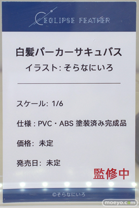 フィギュア ワンダーフェスティバル2023 [夏] あみあみSP エロ キャストオフ   AOKO Eclipse Feather Apocrypha Toy lovely 13