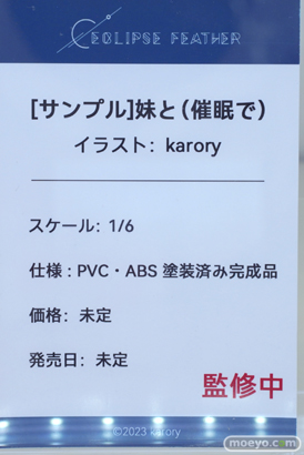 フィギュア ワンダーフェスティバル2023 [夏] あみあみSP エロ キャストオフ   AOKO Eclipse Feather Apocrypha Toy lovely 20