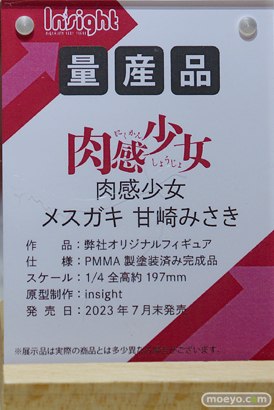 フィギュア ワンダーフェスティバル2023 [夏] インサイト エロ フィギュア  10