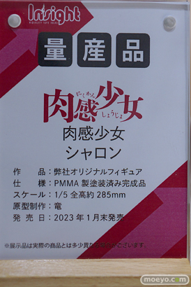 フィギュア ワンダーフェスティバル2023 [夏] インサイト エロ フィギュア  15