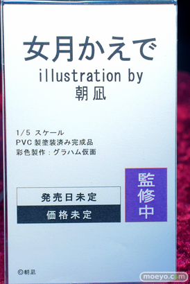 フィギュア ワンダーフェスティバル2023 [夏] エロ  ノクタナス 27