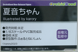 フィギュア ワンダーフェスティバル2023 [夏] エロ  あみあみホビーキャンプ オーキッドシード    10