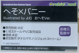 フィギュア ワンダーフェスティバル2023 [夏] エロ  あみあみホビーキャンプ オーキッドシード    14