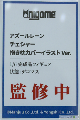 フィギュア ワンダーフェスティバル2023 [夏]  あみあみホビーキャンプ AniGame MAGI ARTS 07