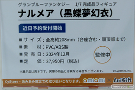 フィギュア ワンダーフェスティバル2023 [夏]  あみあみホビーキャンプ Reverse Studio あみあみ×AniGift AniGift Raise Dream 15