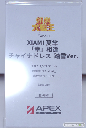 フィギュア ワンダーフェスティバル2023 [夏]  APEX  28