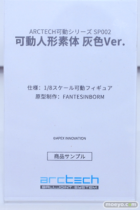 フィギュア ワンダーフェスティバル2023 [夏]  APEX  56