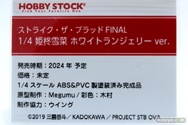 フィギュア ワンダーフェスティバル2023 [夏]  ホビーストック    14