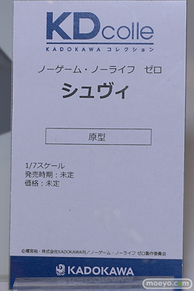 フィギュア ワンダーフェスティバル2023 [夏]  KADOKAWA アイ ルビー     15