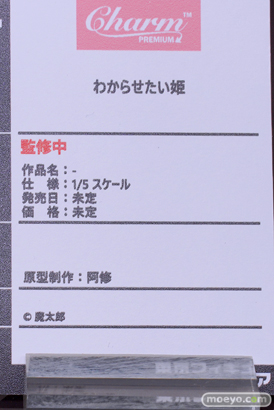 フィギュア ワンダーフェスティバル2023 [夏] 東京フィギュア Charm チャルム  わからせたい姫 阿修 エロ キャストオフ 魔太郎 16