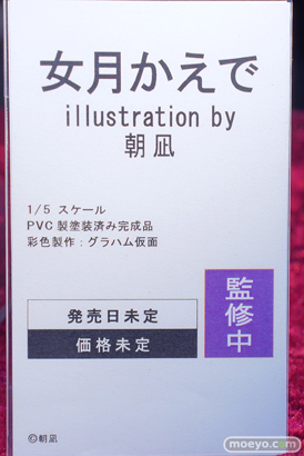 ノクタナス 女月かえで illustration by 朝凪 エロ キャストオフ グラハム仮面 フィギュア  ワンダーフェスティバル2023 [夏] 24