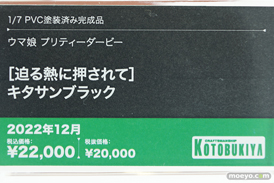 メガホビEXPO2023 It's SHOW TIME!! フィギュア コトブキヤ 19