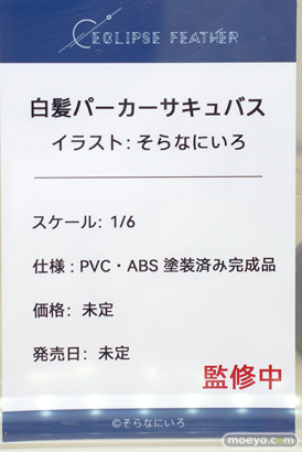 フィギュア ワンダーフェスティバル2023 [夏] Eclipse Feather 白髪パーカーサキュバス そらなにいろ 13