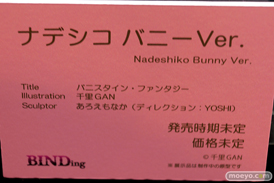 第5回 ネイティブグループ合同展示会（エロホビ） エロ フィギュア キャストオフ　BINDing   05