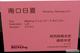 第5回 ネイティブグループ合同展示会（エロホビ） エロ フィギュア キャストオフ　BINDing   14