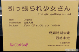 第5回 ネイティブグループ合同展示会（エロホビ） エロ フィギュア キャストオフ　のくちゅるぬ 04
