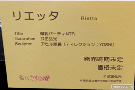 第5回 ネイティブグループ合同展示会（エロホビ） エロ フィギュア キャストオフ　のくちゅるぬ 21