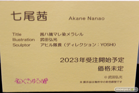 第5回 ネイティブグループ合同展示会（エロホビ） エロ フィギュア キャストオフ　のくちゅるぬ 26