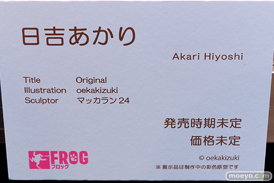 第5回 ネイティブグループ合同展示会（エロホビ） エロ フィギュア キャストオフ　FROG 20