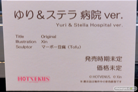 第5回 ネイティブグループ合同展示会（エロホビ） エロ フィギュア キャストオフ　HOTVENUS 06