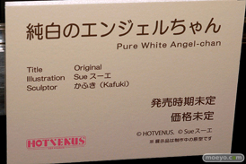 第5回 ネイティブグループ合同展示会（エロホビ） エロ フィギュア キャストオフ　HOTVENUS 16