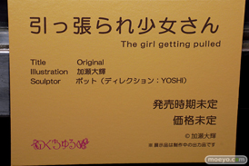 フィギュア エロホビ 第5回 ネイティブグループ合同展示会 エロ キャストオフ のくちゅるぬ 引っ張られ少女さん 加瀬大輝 ポット YOSHI 20