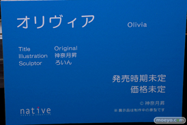 フィギュア エロホビ 第5回 ネイティブグループ合同展示会 エロ キャストオフ オリビア 神無月昇 ろいん 20