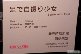 第5回 ネイティブグループ合同展示会（エロホビ） エロ フィギュア キャストオフ HOTVENUS 加瀬大輝 足で自撮り少女 マーボー豆腐 18